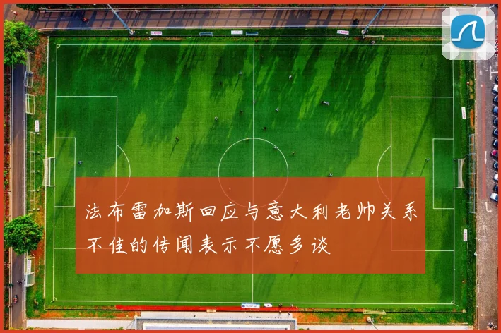 法布雷加斯回应与意大利老帅关系不佳的传闻表示不愿多谈